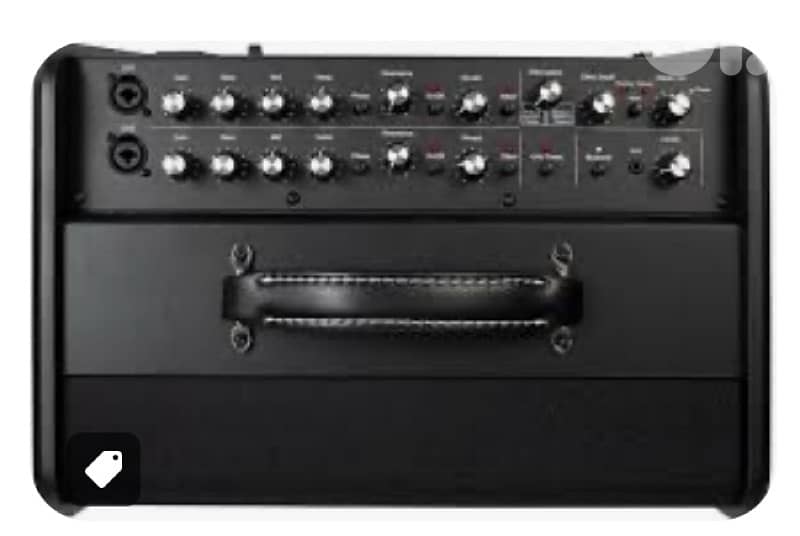 Godin acoustic guitar and vocals amplifier 0