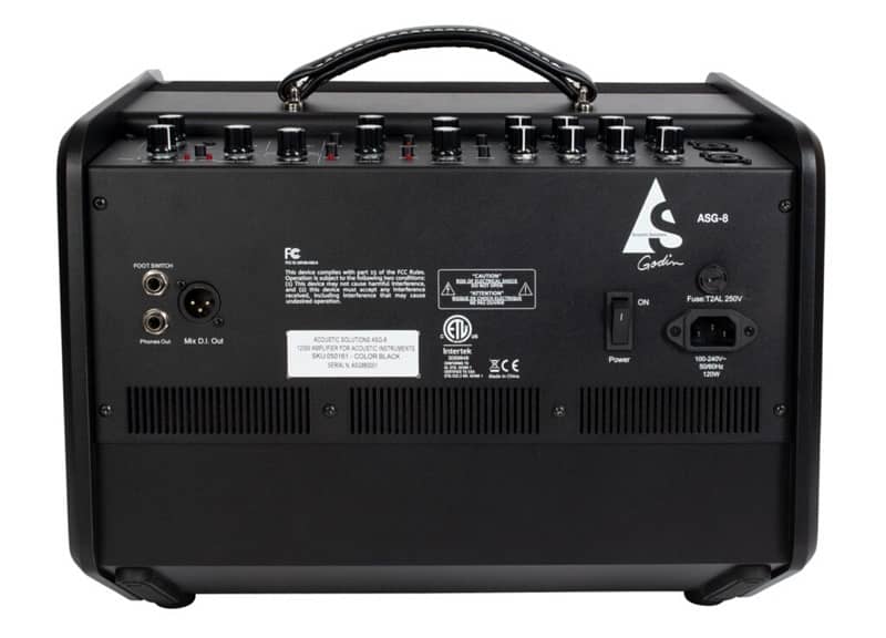 Godin acoustic guitar and vocals amplifier 9