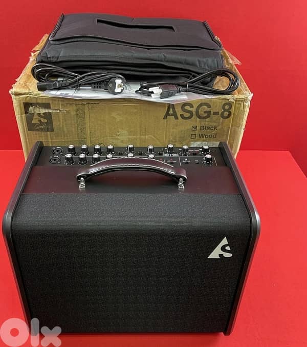 Godin acoustic guitar and vocals amplifier 6