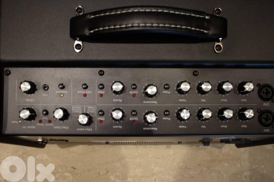 Godin acoustic guitar and vocals amplifier 1