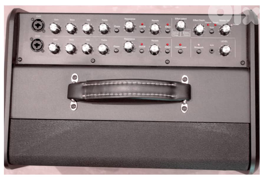 Godin acoustic guitar and vocals amplifier 3