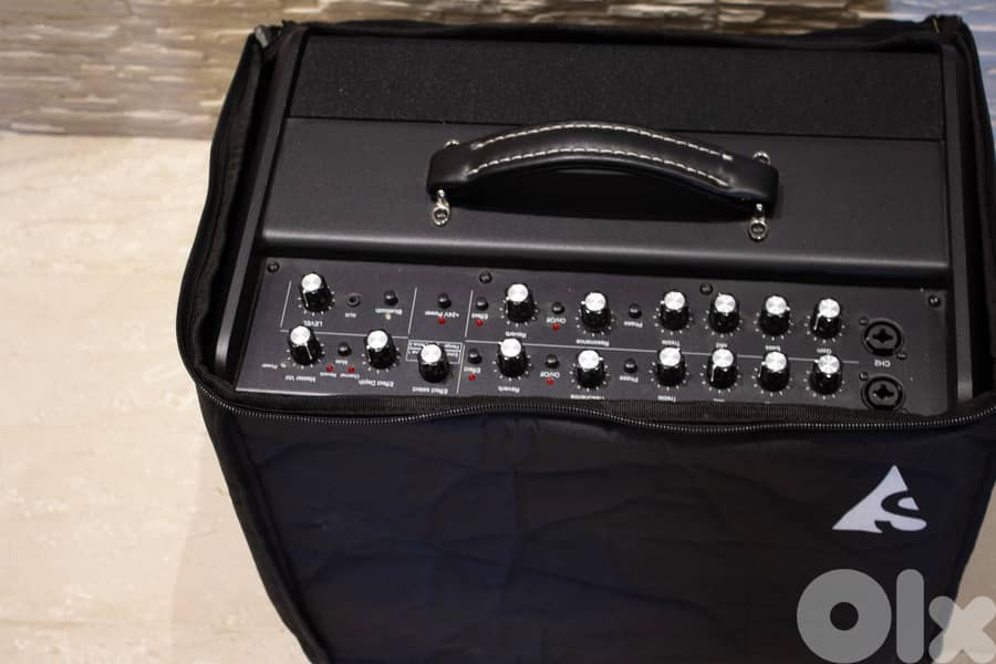 Godin acoustic guitar and vocals amplifier 5