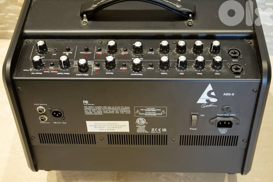 Godin acoustic guitar and vocals amplifier 2