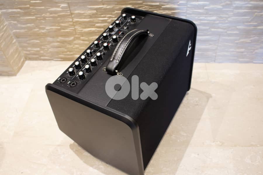 Godin acoustic guitar and vocals amplifier 8