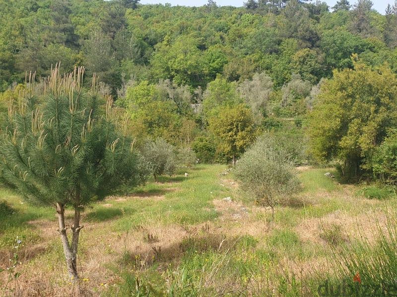 Land for sale in Zaarourieh - أرض للبيع في منطقة الزعرورية 0