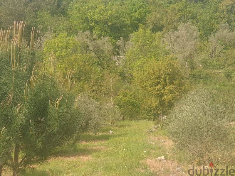 Land for sale in Zaarourieh - أرض للبيع في منطقة الزعرورية 1