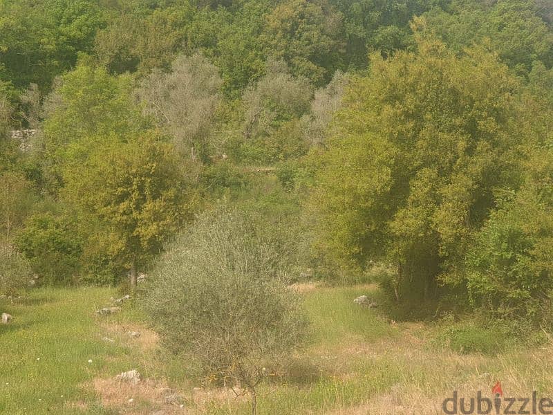 Land for sale in Zaarourieh - أرض للبيع في منطقة الزعرورية 2