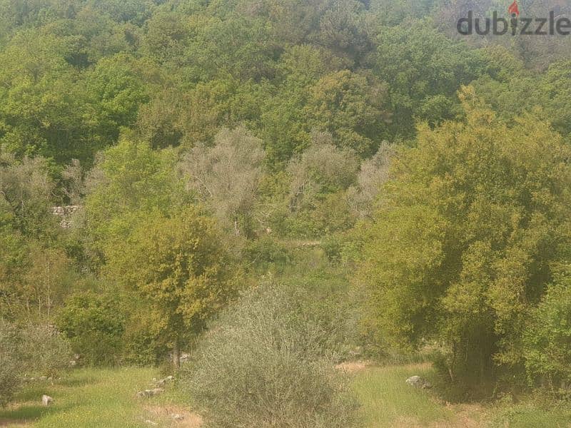 Land for sale in Zaarourieh - أرض للبيع في منطقة الزعرورية 3