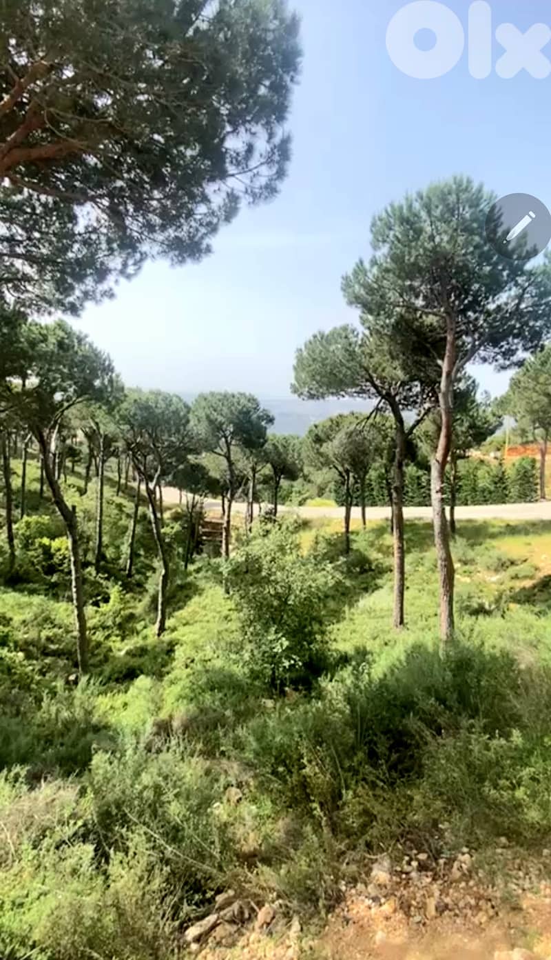 Land for sale in Naas/ Daher El Sewan 0