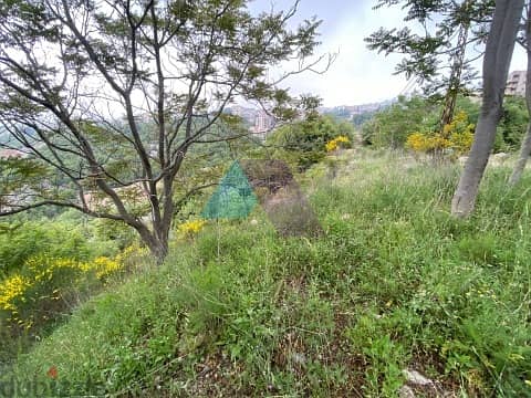 A 1015 m2 land with prime location for sale in Klayaat - القليعات 2