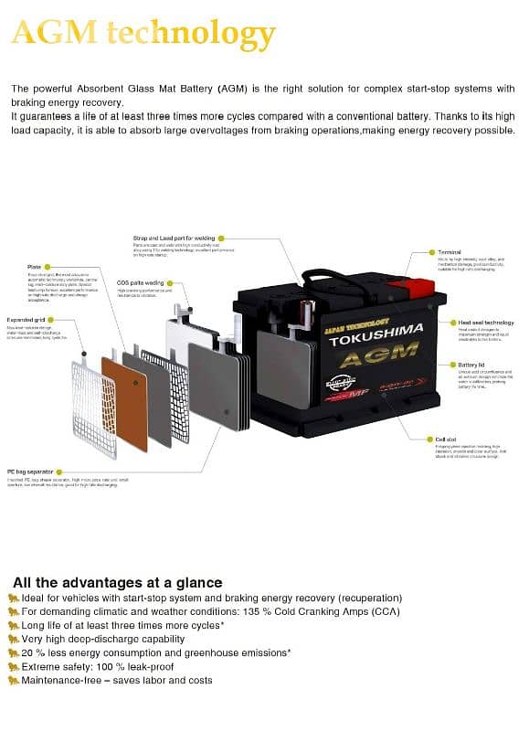 TOKUSHIMA batteries 1
