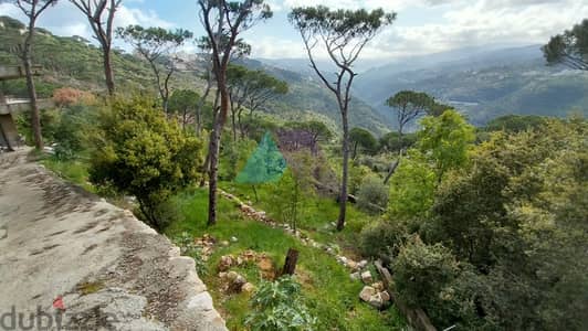 740m2 House+ Mountain view 4 Sale in Bet Mery-Broumana- برمانا