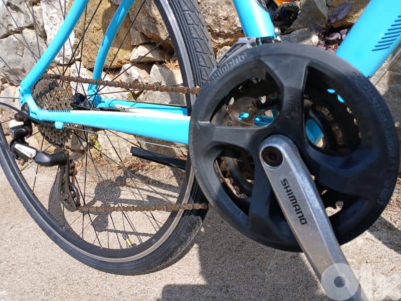 specialized vita 28 10