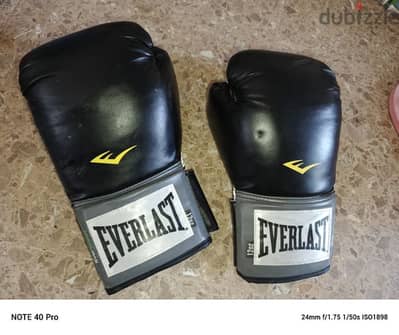 boxing gloves EVer Last