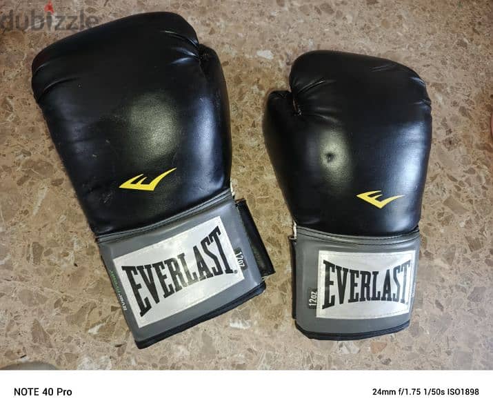 boxing gloves EVer Last 1