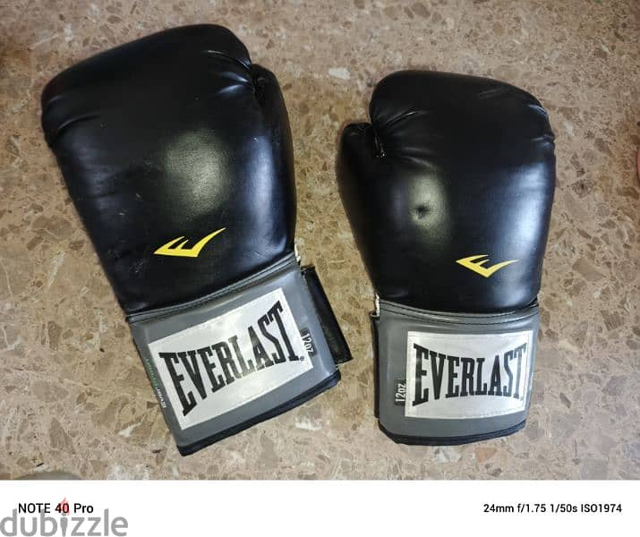 boxing gloves EVer Last 2