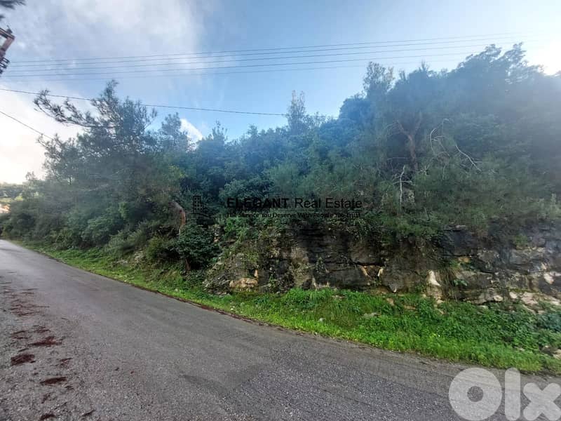 **Hot Deal *|Beautiful Land | Green View | 1