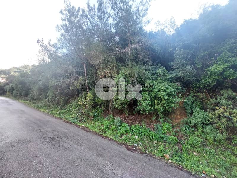 **Hot Deal *|Beautiful Land | Green View | 2