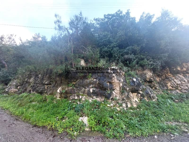 **Hot Deal *|Beautiful Land | Green View | 3