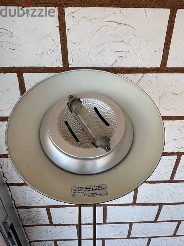 Allogene light 1