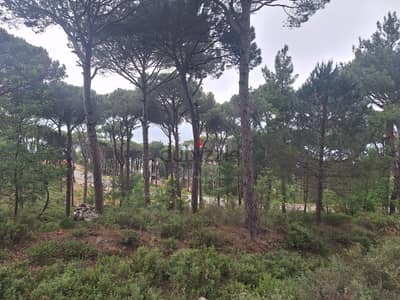 1400 m2 Land+Mountain view 4 Sale in Daher El Souwwan - ضهر الصوان