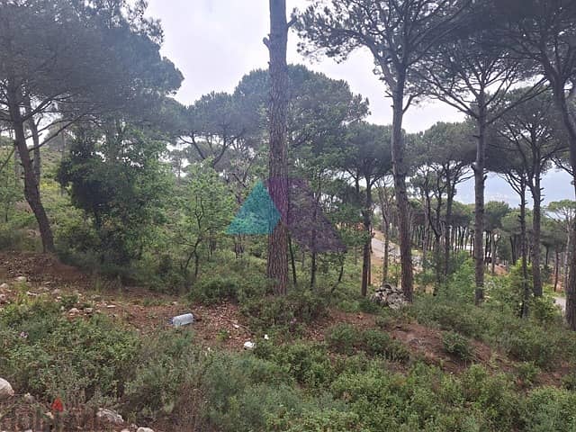 1400 m2 Land+Mountain view 4 Sale in Daher El Souwwan - ضهر الصوان 1