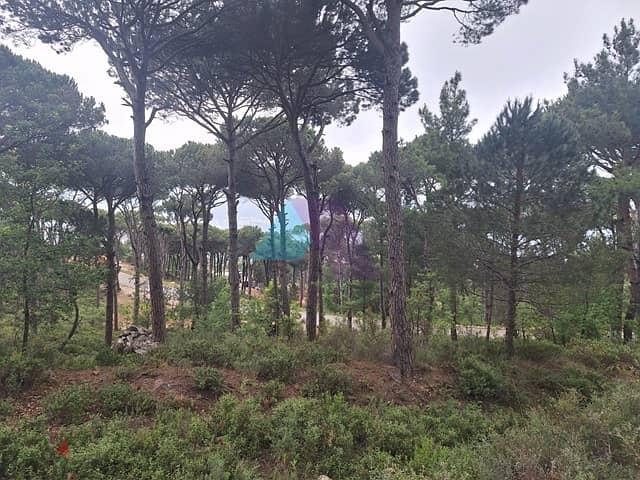 1400 m2 Land+Mountain view 4 Sale in Daher El Souwwan - ضهر الصوان 2