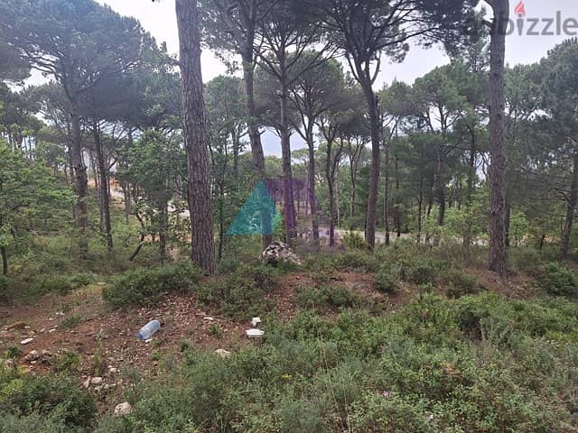 1400 m2 Land+Mountain view 4 Sale in Daher El Souwwan - ضهر الصوان 3