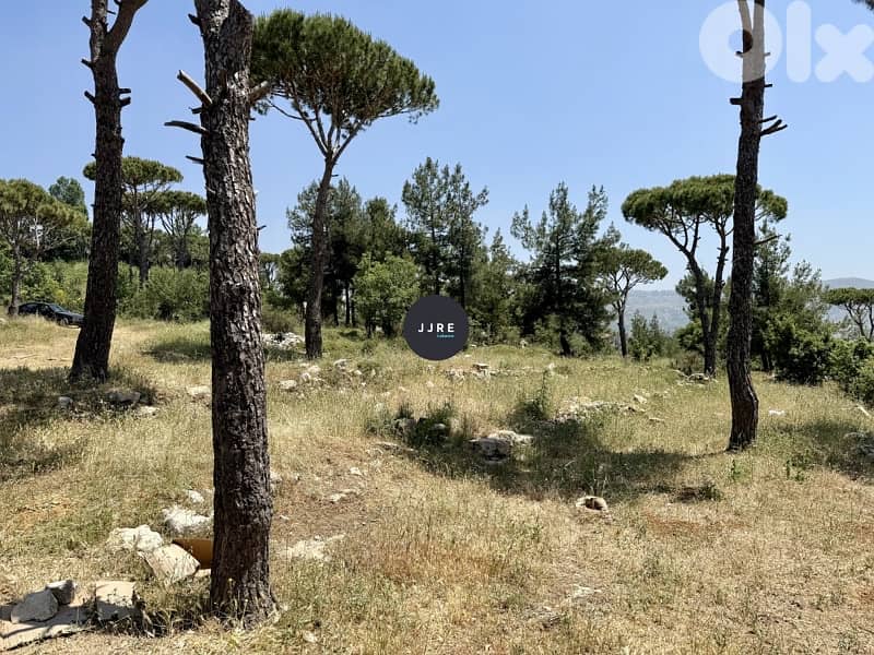 Prime Location 5 Lands In Bhamdoun For Sale / أرض في بحمدون للبيع 4