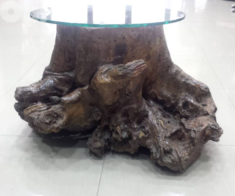 SOLD *** Table; Olive Tree Trunk 200 Years Old, + Glass Top, @300$ 7