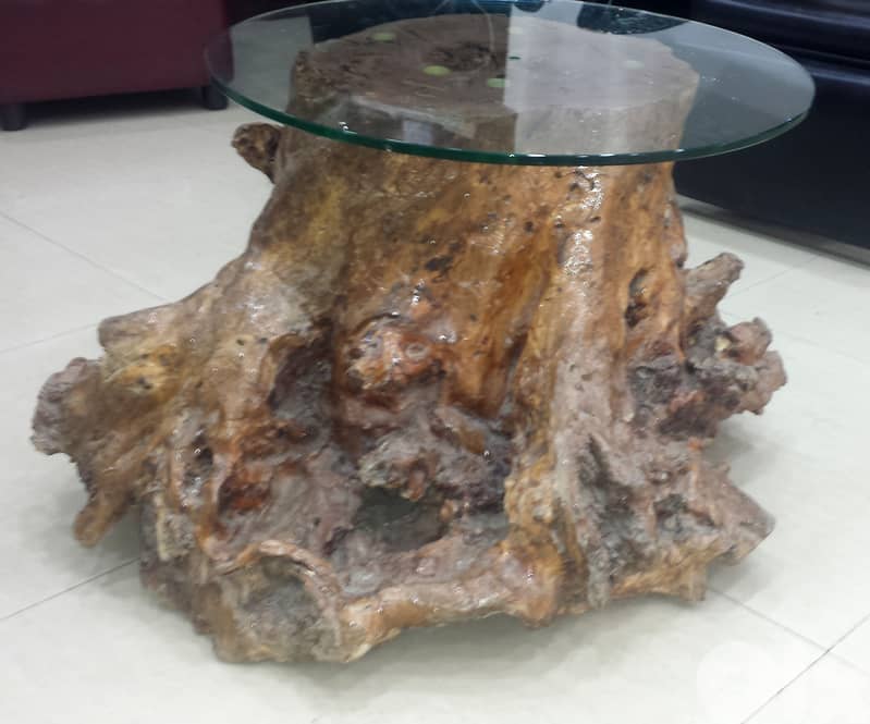 SOLD *** Table; Olive Tree Trunk 200 Years Old, + Glass Top, @300$ 2