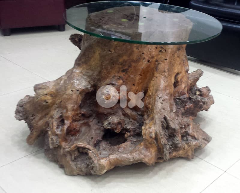 SOLD *** Table; Olive Tree Trunk 200 Years Old, + Glass Top, @300$ 3
