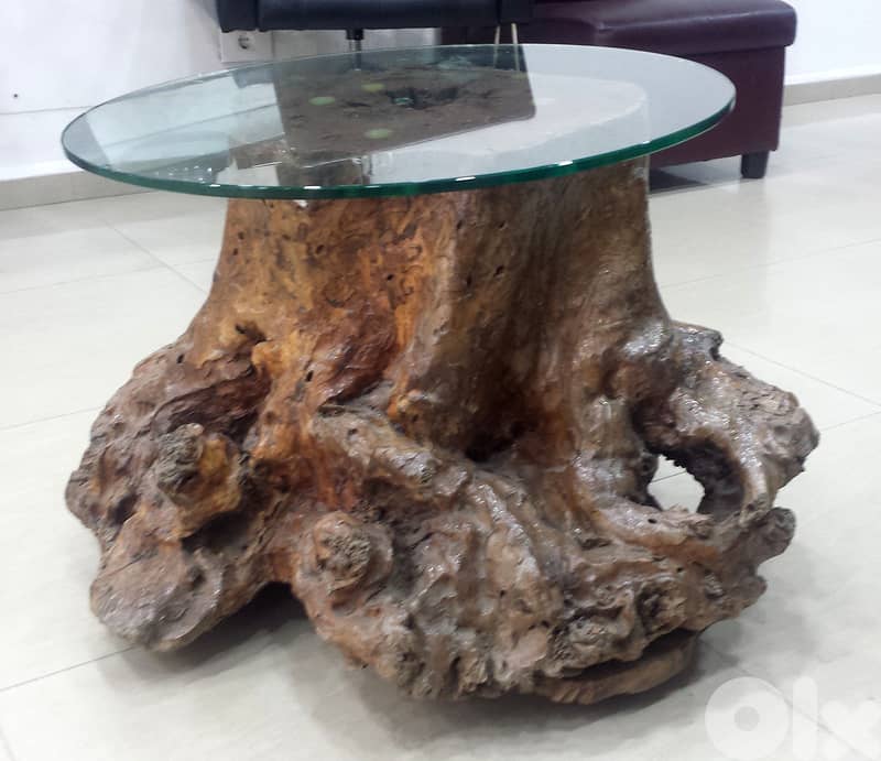 SOLD *** Table; Olive Tree Trunk 200 Years Old, + Glass Top, @300$ 4