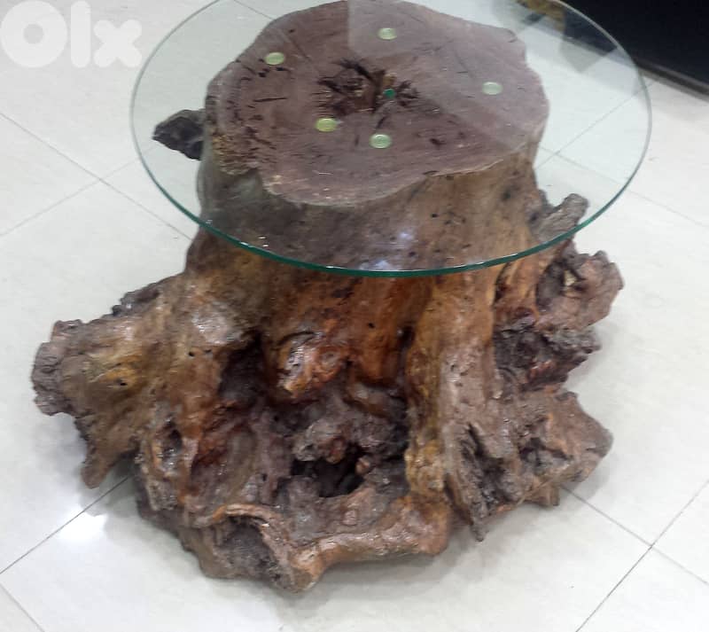 SOLD *** Table; Olive Tree Trunk 200 Years Old, + Glass Top, @300$ 6