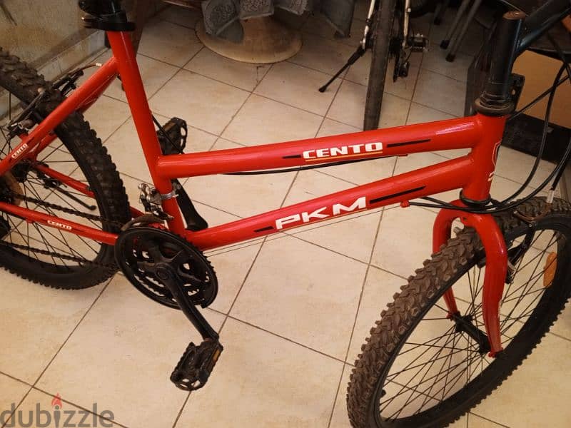bicycle 24inch 1