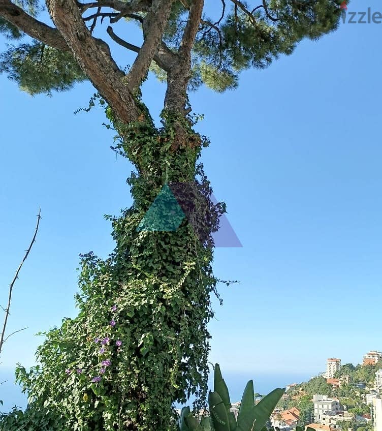 A 885 m2 Land +Sea view for sale in Beit Mery -  بيت مري 1