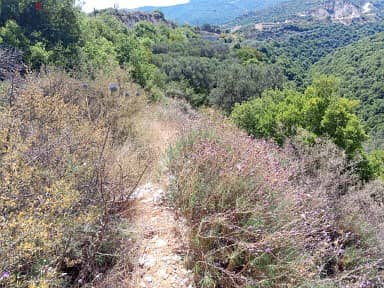 5464 m2 land+open mountain/sea view for sale in Batroun - البترون 0
