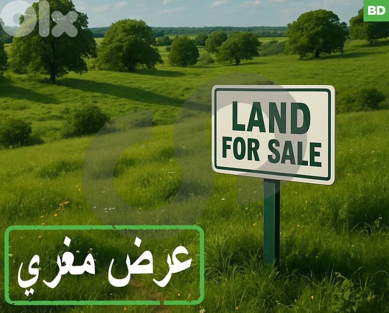 350 SQM HOT DEAL STUNNING VIEW IN NAKHLE/النخلة REF#BD121855 0