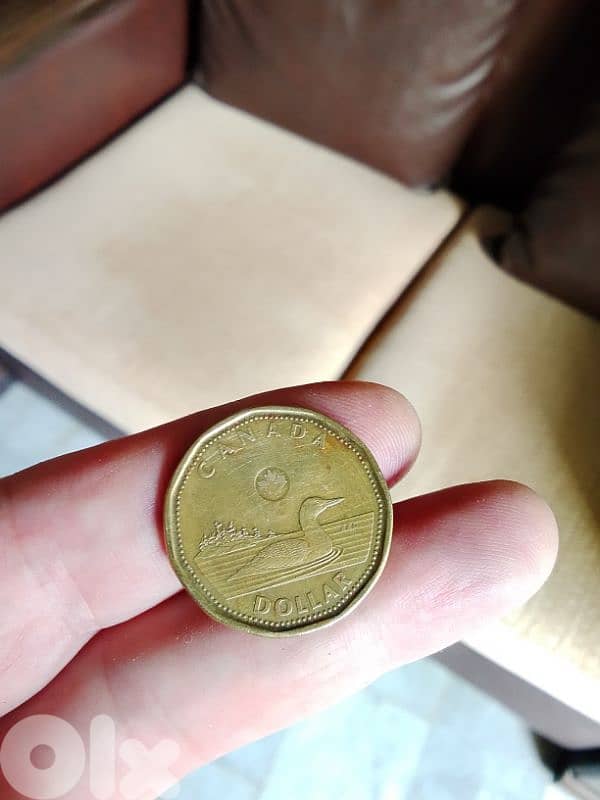 1 dollar Canada 2013 1