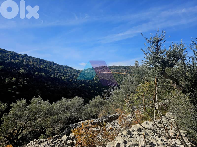 A 2500 m2 Land+Mountain view 4 Sale in Chebtine-Batroun - البترون 1