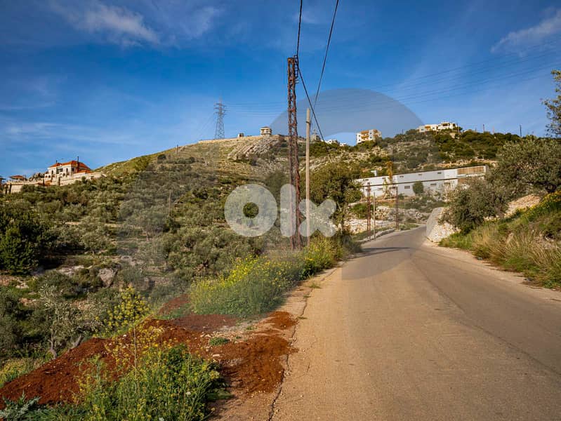 EXTREMELY CATCHY DEAL - Rechdebbine Koura REF#BD119432 1