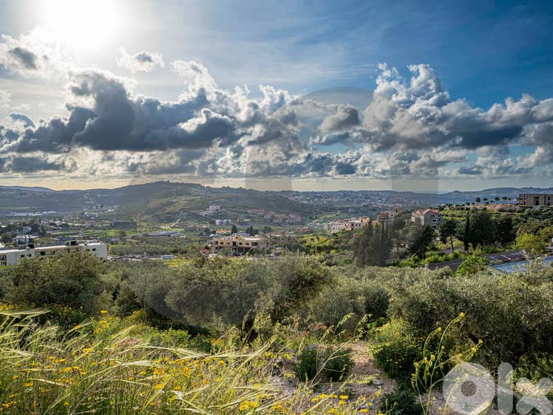 EXTREMELY CATCHY DEAL - Rechdebbine Koura REF#BD119432 3