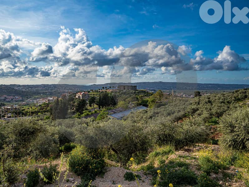 EXTREMELY CATCHY DEAL - Rechdebbine Koura REF#BD119432 4