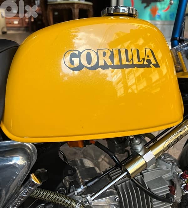 Honda Gorilla 124 cc Takegawa tuned performed 14