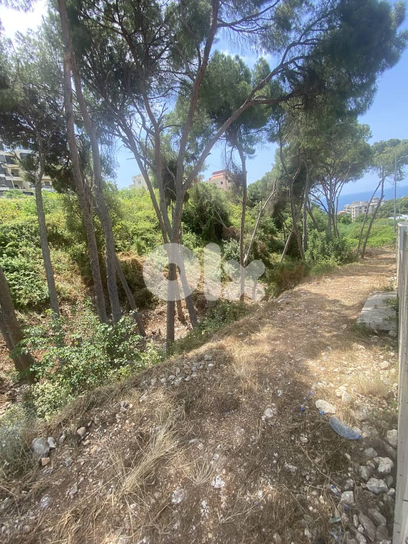 RWB128EG - Land for sale in Bouar 2