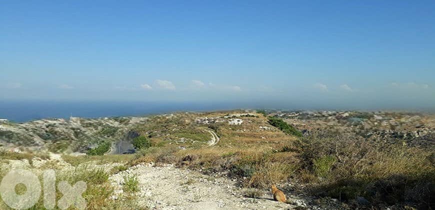 BUILDING FOR SALE IN HBOUB JBEIL (1500SQ) (JB-316) 0