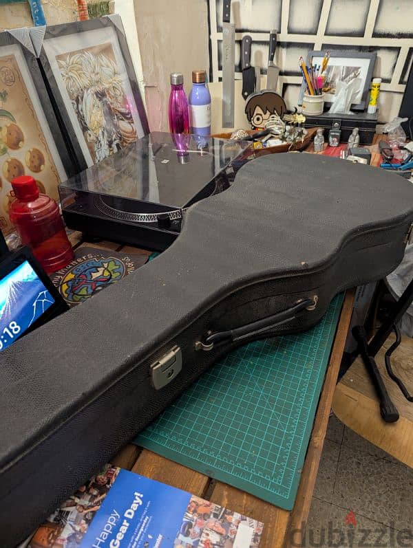 Guitar Cases 2