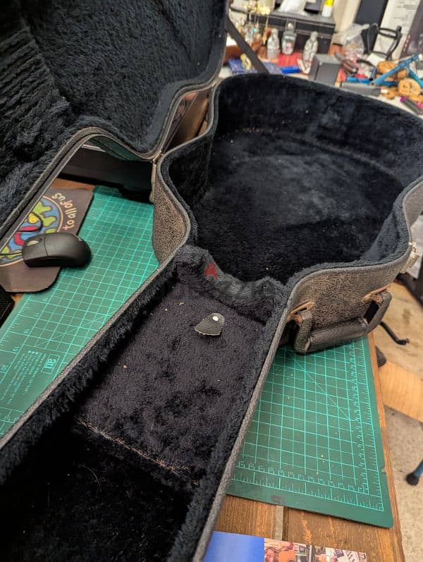 Guitar Cases 5