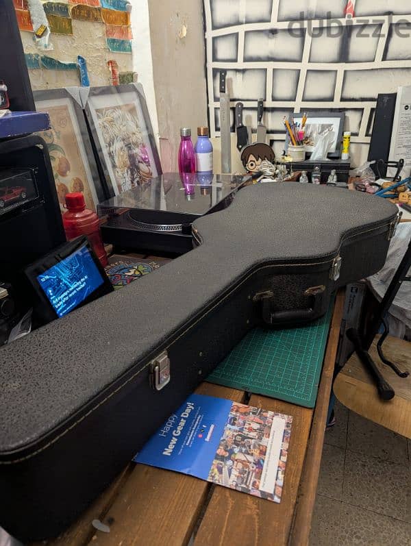 Guitar Cases 6