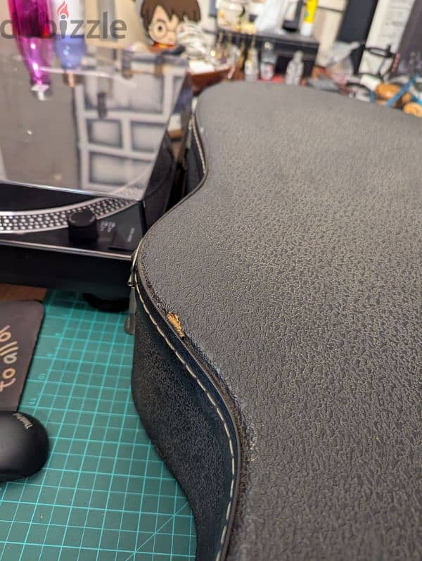 Guitar Cases 7